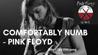 Comfortably Numb by Pink Floyd - Why I like this song
