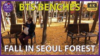 〖4K〗가을 서울숲 방탄 벤치 찾아 걷기 BTS Benches in Beautiful Autumn Surroundings of Seoul Forest at Fall's Finest