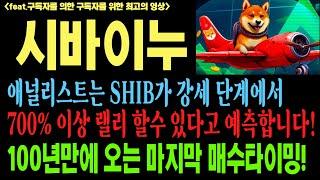 시바이누 시바이누코인 시바이누코인전망 SHIB DOGE 코인전망 비트코인 이더리움 도지코인