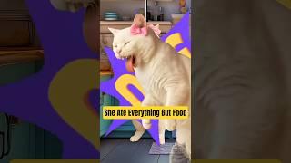 She ate Everything Except Food 