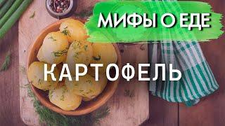 Мифы о картофеле | В каком виде картошка полезнее и вреднее всего для здоровья