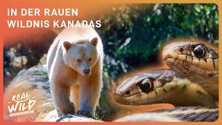 Kanadas wilde und unberührte Landschaften | Real Wild Deutschland