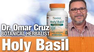 Himalaya Holy Basil with Botanical Researcher Omar Cruz