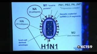 Science Café:A Systems Biology Approach to Studying Influenza - Part 1 of 4