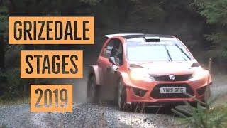 Grizedale Stages Rally 2019 [HD]