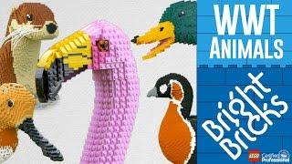 LEGO Animals at Wildfowl and Wetland Trust and WWT Wetland Centres - Bright Bricks Timelapse