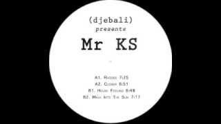 Mr KS - House Feeling