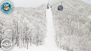 Nozawa onsen snow field.Ski Resort.Bottom to Top to Bottom #walking_tour