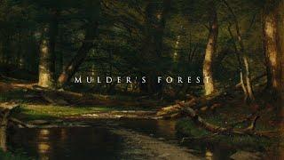 Mulder's Forest