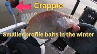 Winter Crappie Fishing.  Why use Smaller Profile Baits? (MARK TWAIN LAKE)