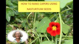 How to make Capers using Nasturtium seeds