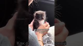 Коллеги, только маленькие задачки!
