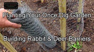 For New Gardeners -  Planting Your Once Dig Garden & Building Rabbit & Deer Barriers as/if Needed