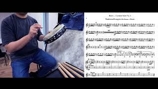 Tambourine Excerpts - Carmen Suite No.1: Aragonaise (Grover Tambourine Beryllium Copper)