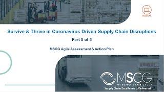 MSCG Supply Chain Disruptions Webinar Part 5/5 MSCG Agile Assessment & Action Plan
