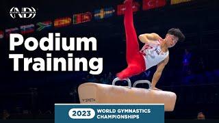 Asher Hong (USA) - Pommel Horse - 2023 World Gymnastics Championships Podium Training