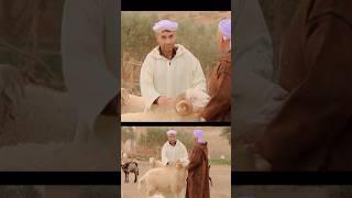 28 Dec 2024 New Single Hicham Amine Reggada 2025 #reggada #oujda #oujdacity #oujda48 #oujdacity48