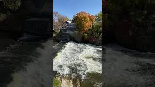 Grand River autumn  2024 at Fergus ON #canada #river #autumn