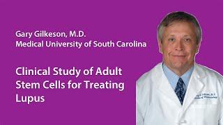 Adult Stem Cells in Lupus