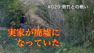 【倒竹エグい】実家が廃墟になっていた〜実家再生計画〜The family home was in ruins.【なくなる気配がない】