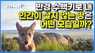 겨울 영하 50도 여름 영상 50도, 인간이 밟을 수 없는 땅에 카메라를 설치했더니 찍힌 놀라운 광경들｜지구상 최후의 오지｜다큐프라임｜#골라듄다큐