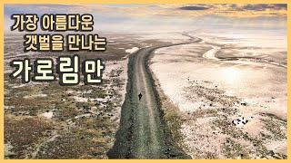 국내여행 다큐 서산 가로림만 여행 / 웅도, 웅도 잠수교, 갯벌 트래킹, 황금산 코끼리바위, 삼길포항 / 국내여행지추천, 겨울여행, 여행유튜버