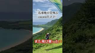 石垣島の空飛ぶ小学生cocoroのママ…飛び乗り禁止！#石垣島 #石垣島パラグライダー #パラグライダー #スカイアドベンチャーうーまくぅ