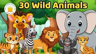 30 Wild Animals Names in English for Kids | Tamilarasi English