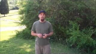 The Garden Rockstar - How to Control Erosion Naturally