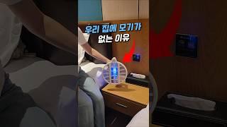 우리 집에 모기가 없는 이유 #쿠팡추천 #쿠팡꿀템 #쿠팡추천템 #전기모기채 #포충기
