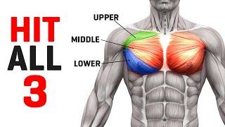 Fully Develop your Chest with this Routine! (Sets & Reps Included!)