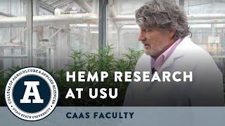 Utah State University Hemp Research