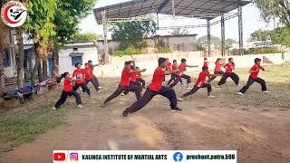 Shaolin Basic Kung fu form || KIMA #kungfu #martialarts