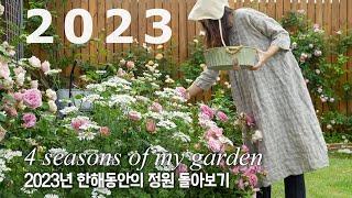 Special movie  4 seasons of my small garden of 2023 'HeeYoung's rose garden'