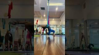 Aerial Yoga By @yogawithsandeep #yoga #motivation