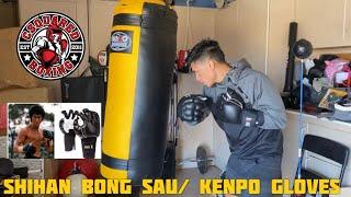 HEAVY BAG TRAINING- BRUCE LEE’S Shihan Bong Sau/ Kenpo Gloves