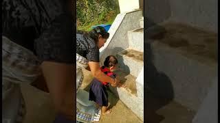 ലിചുന്റെ പിറന്നാൾ| star birthday |mini vlog| lichu baby#trending #baby #viral #reels #shortsfeed