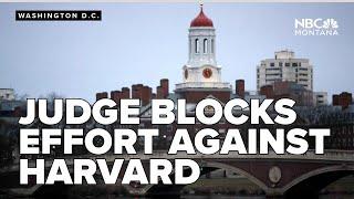 Federal judge blocks Trump effort to keep Harvard from hosting foreign students