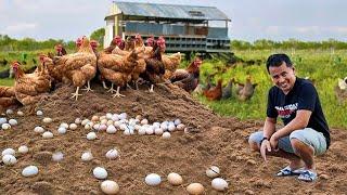 Farm Hacks That Will Amaze You: Creative Ideas for Successful Free-Range Farming!