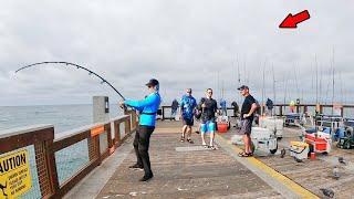 Fish of a Lifetime Caught from the Gulf Pier!