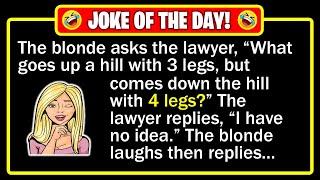  BEST JOKE OF THE DAY! - A lawyer was sitting next to a blonde, during a flight...| Funny Dad Jokes