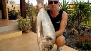 Ep  161 Alex Macdonald, Gilthead Bream