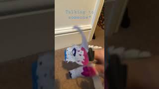 POV: some says paper dragons are cringe