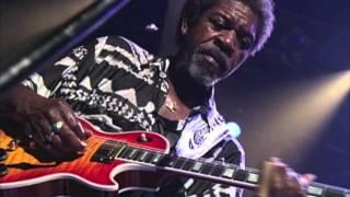 Luther Allison - It Hurts Me Too (Live)