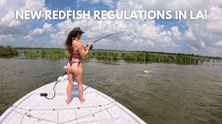 Quick Redfish Catch & Clean Fun!