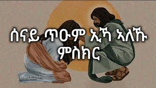 Senay tium Ika - Tigrigna mezmur - ሰናይ ጥዑም ኢኻ - ትግርኛ መዝሙር