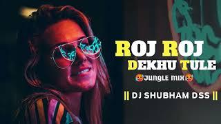 ROJ ROJ DEKHU TULE X JUNGLE MIX X DJ SHUBHAM DSS 