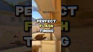 PERFECT FLASH TIMING #twitch #d0cc_tv #cs2 cs2 #counterstrike2 #csgo