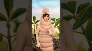 The early worm #shorts
