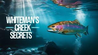 A Beginner's Complete Guide to Fishing Whiteman's Creek